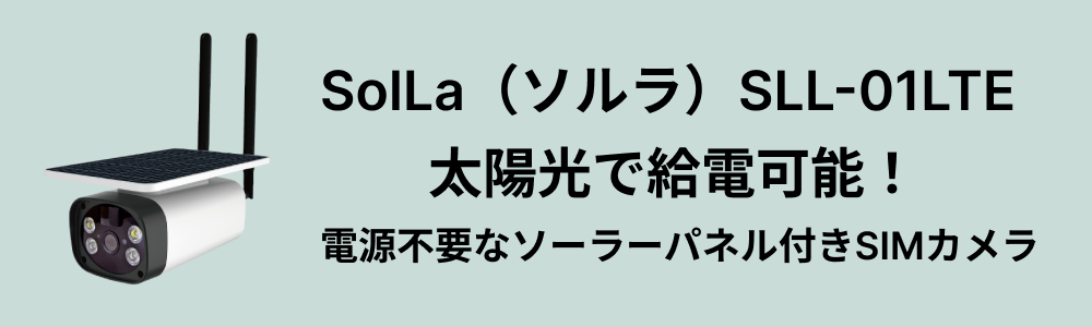 たま未来2日目のイメージ画像1