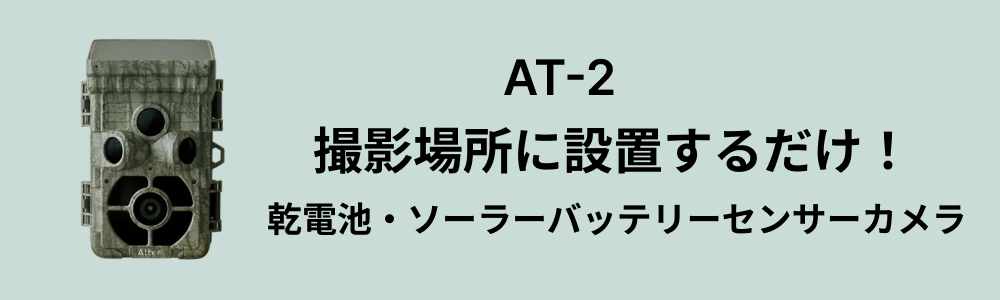 たま未来2日目のイメージ画像2